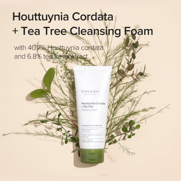 skincare-kbeauty-glowtime-mary & may houttuynia cordata tea tree cleansing foam