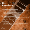 skincare-kbeauty-glowtime-isntree yam root vegan milk cream