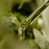 skincare-kbeauty-glowtime-i'm from mugwort serum