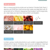 skincare-kbeauty-glowtime-lindsay re natural modeling mask