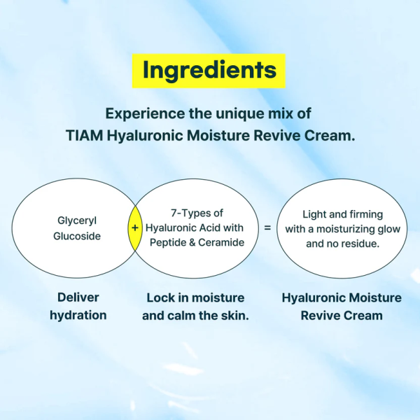 skincare-kbeauty-glowtime-TIAM Hyaluronic Moisture Revive Cream