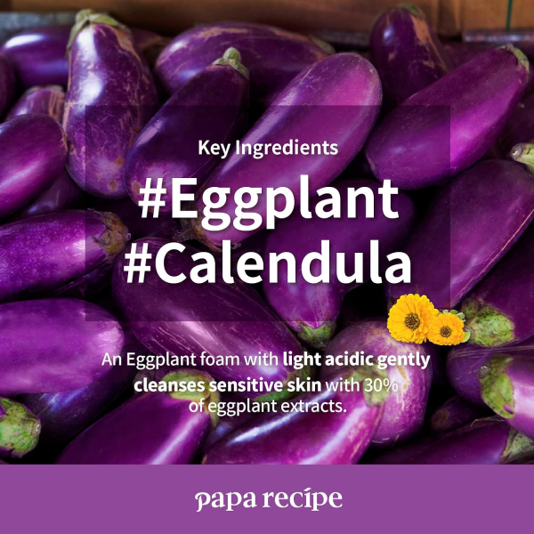 skincare-kbeauty-glowtime-papa recipe eggplant clearing mild cleansing foam