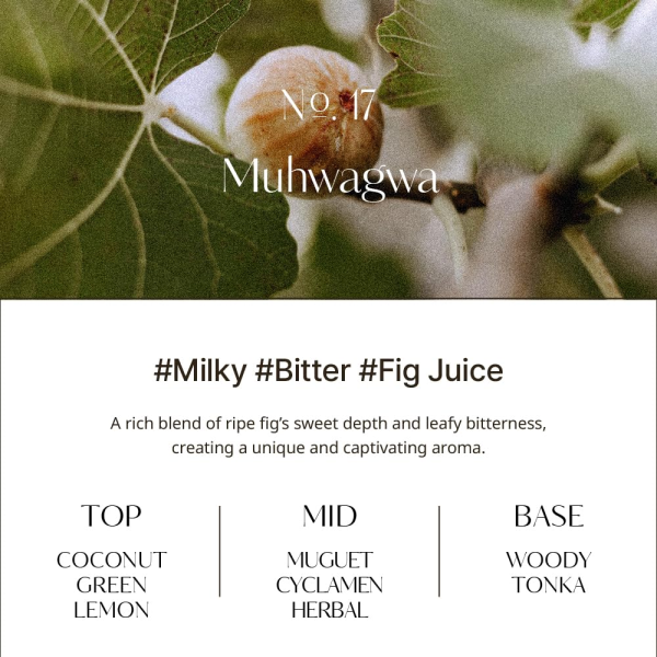 skincare-kbeauty-glowtime-mango seed butter hand cream muhwagwa