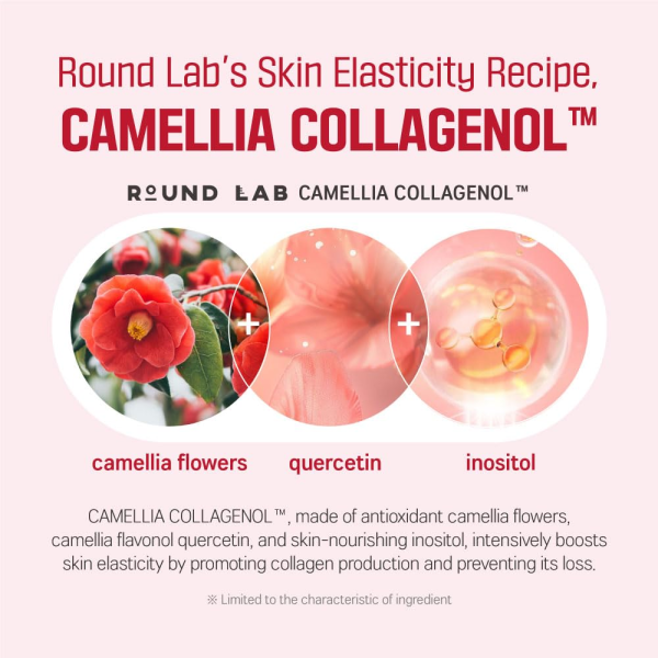 skincare-kbeauty-glowtime-round lab camellia deep collagen firming amoule
