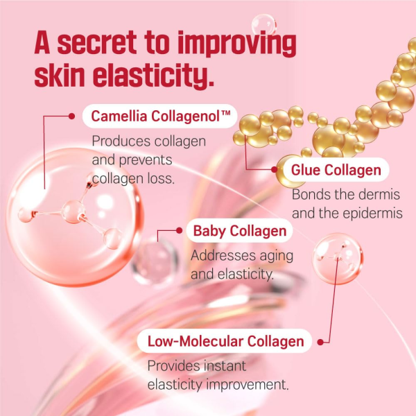 skincare-kbeauty-glowtime-round lab camellia deep collagen firming amoule