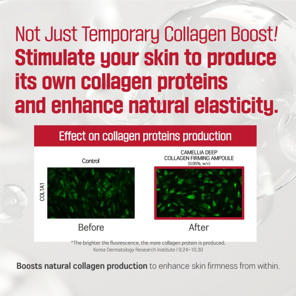 skincare-kbeauty-glowtime-round lab camellia deep collagen firming amoule