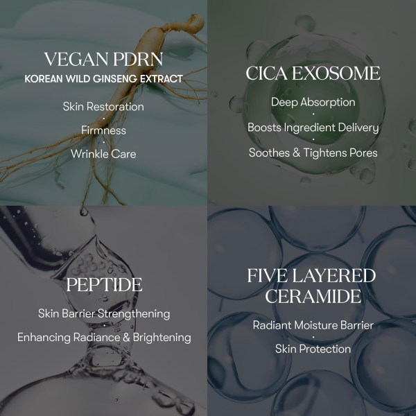 skincare-kbeauty-glowtime-vt cosmetics pdrn cica exosome firming and moisutre ampoule