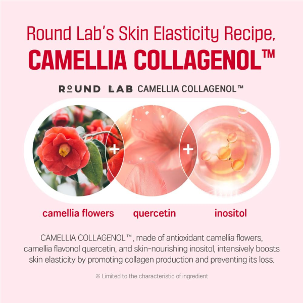 skincare-kbeauty-glowtime-round lab camellia dep collagen firming cream