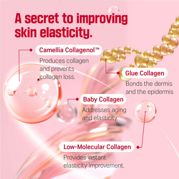 skincare-kbeauty-glowtime-round lab camellia dep collagen firming cream