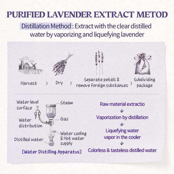 skincare-kbeauty-glowtime-skinfood lavender food mask