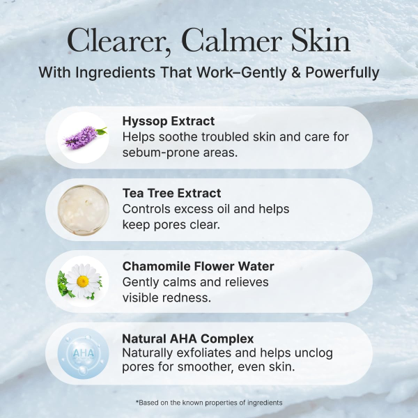 skincare-kbeauty-glowtime-arencia hyssop sebum control rice cake cleanser