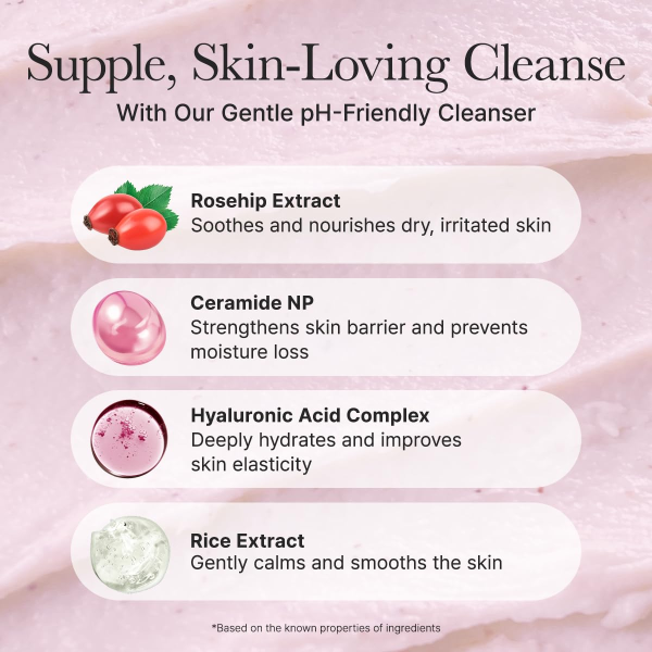 skincare-kbeauty-glowtime-arencia rosehip mild pH balancing rice cake cleanser