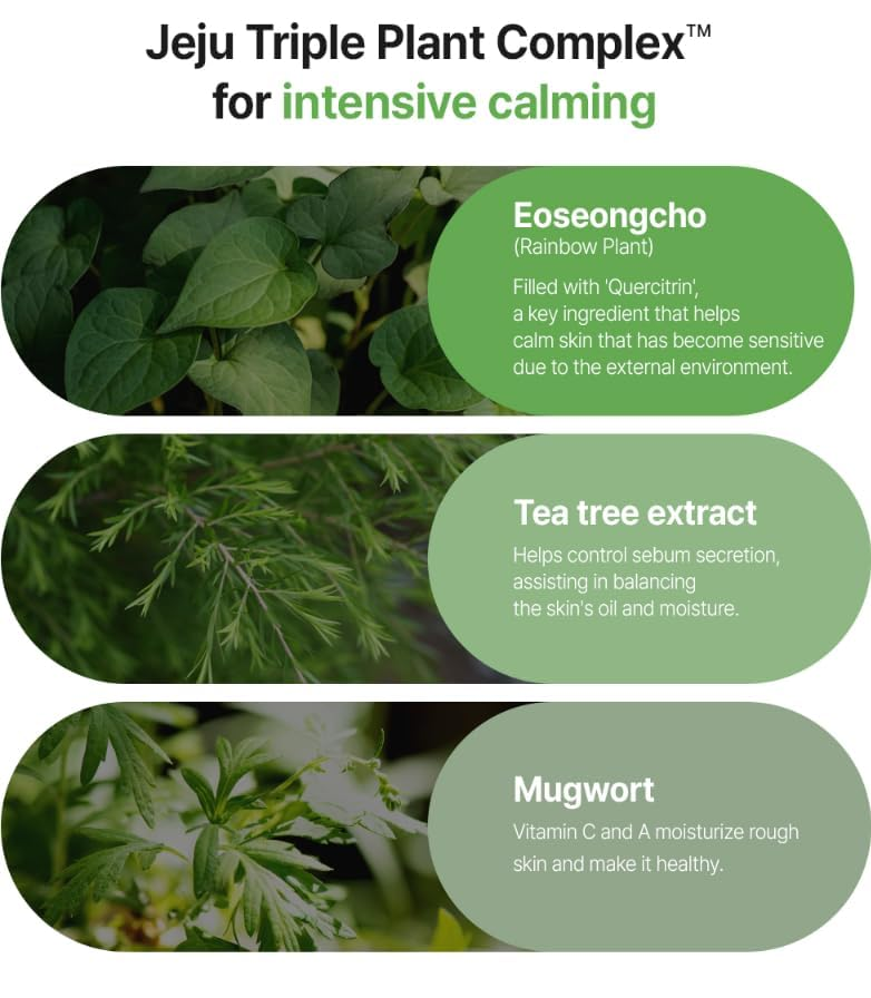 FATION Real Fit Heartleaf Calming Mask 3 skincare-kbeauty-glowtime-fation real fit heartleaf calming mask